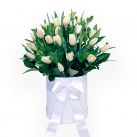 Box de tulipanes blancos